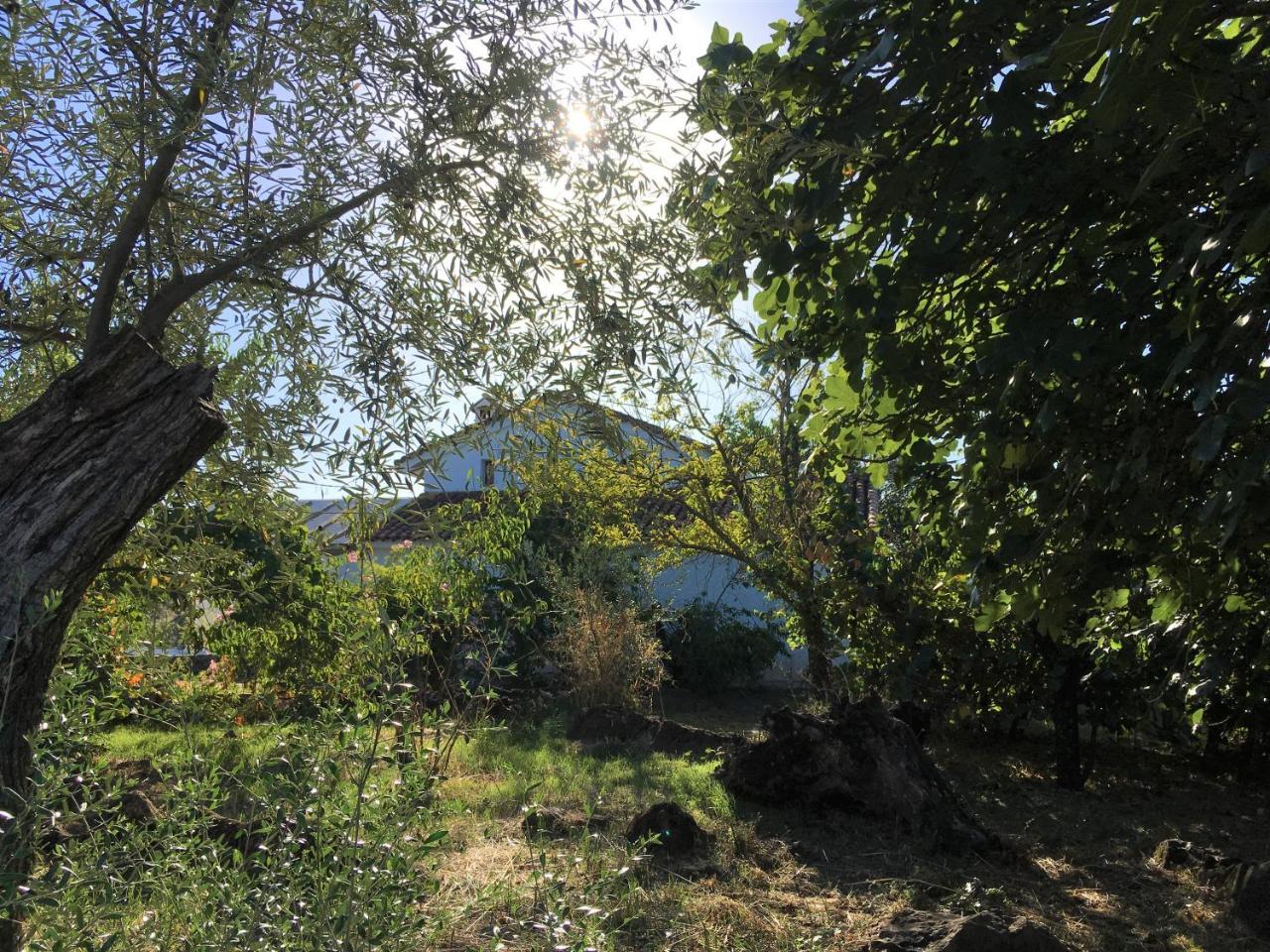 Finca Horno de Cal Aracena Exterior foto